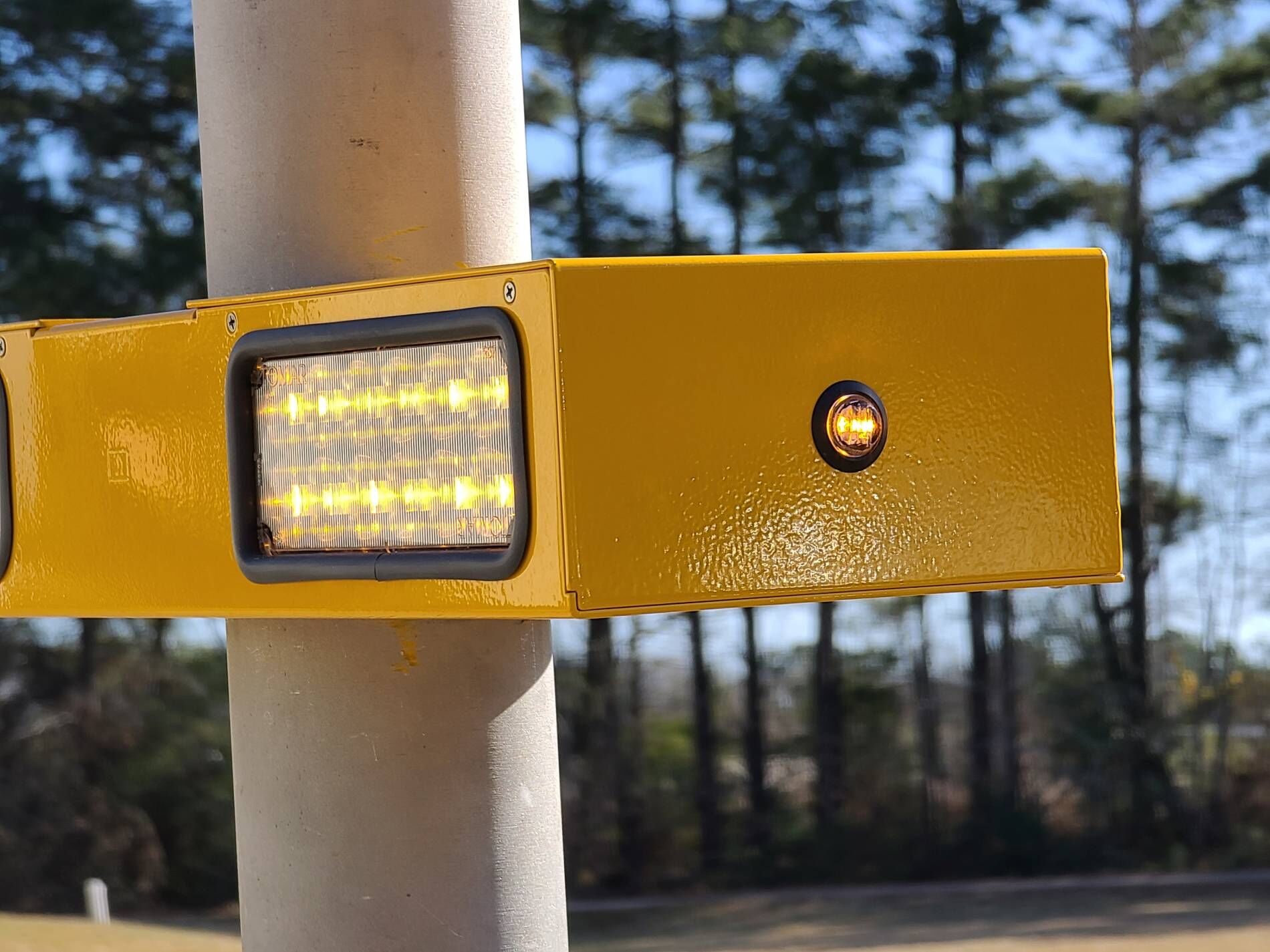 1-side RRFB FY w pedestrian LED