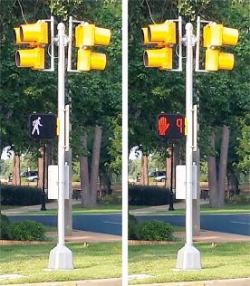 Pedestrian Crossing Rules: Traffic Light Controlled Pedestrian Crossing 