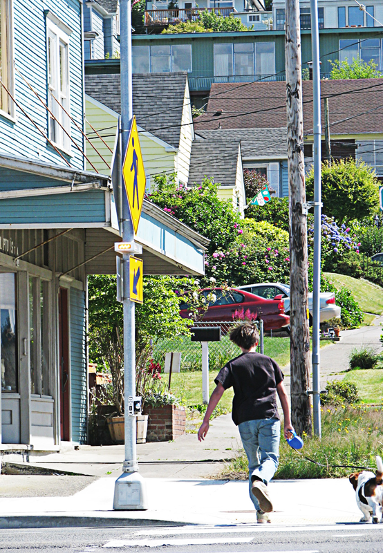 This pedestrian verification signal is acti-vated by a push button. (Photo courtesy of Electrotechnics Corp.)