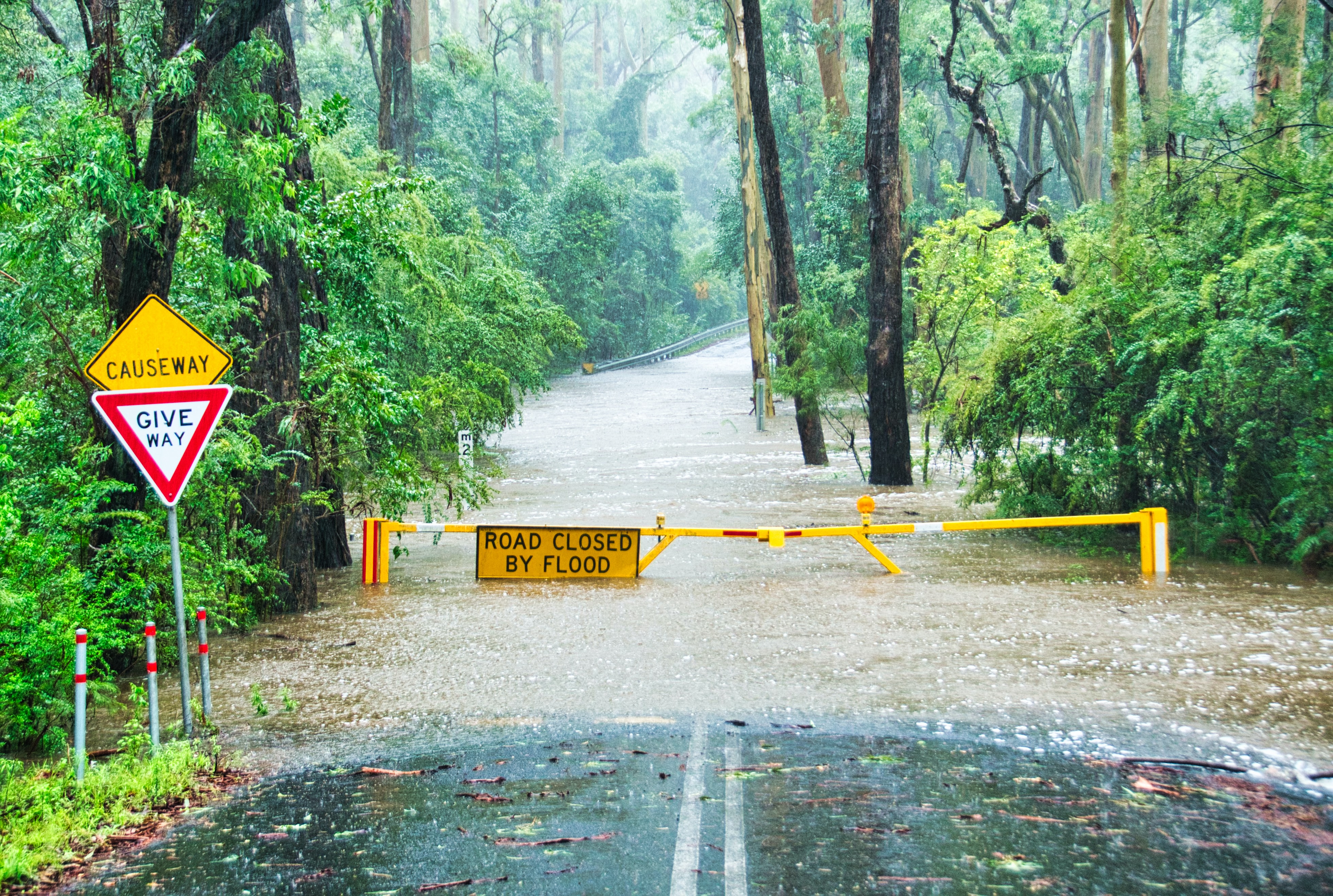  Importance of Flood Warning Systems